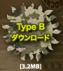 type B ダウンロード