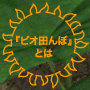 ビオ田んぼとは
