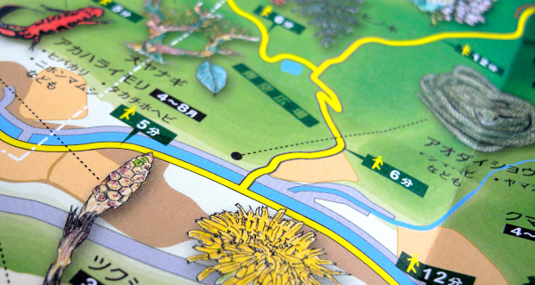 有度山北麓map06